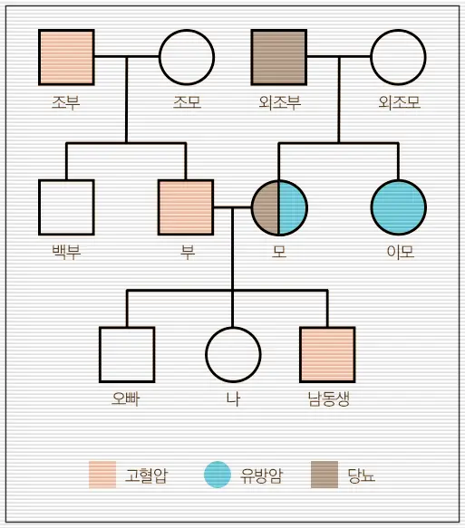 가족력 있는 중년을 위한 맞춤 건강검진을 위해 반드시 해보아야 할 가족력 그리는 방법에 대한 예시