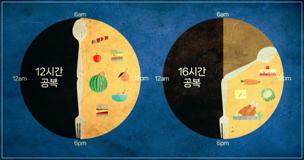 간헐적 단식의 종류인 12시간 공복과 16시간 공복에 대한 음식 섭취 시간을 알려주는 이미지